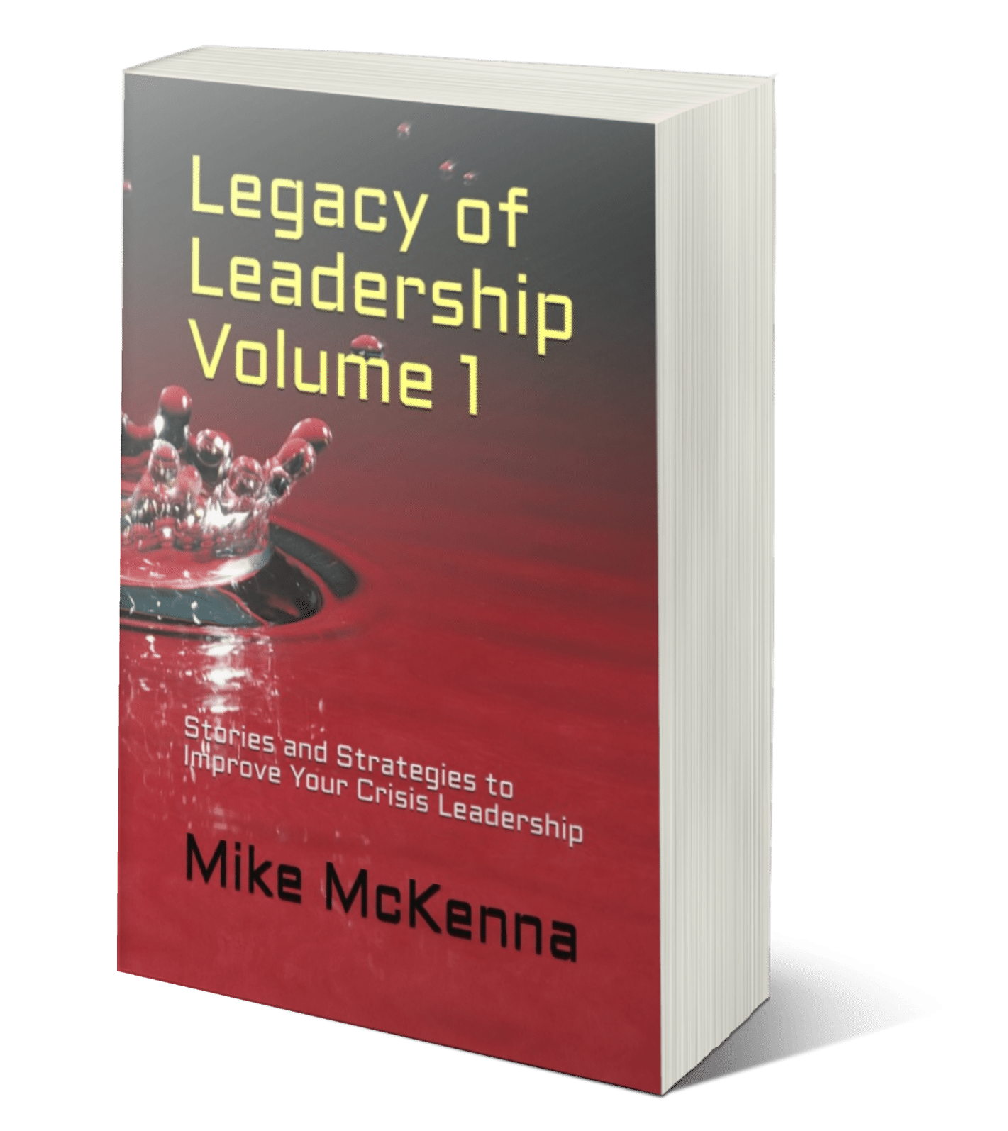 Legacy of Leadership 3d cover